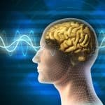 Mental Agility: 8 Uplifting Strategies To Sharpen Your Mind